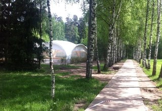 Санаторий Зеленый городок Территория комплекса - фото 6
