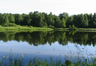 Санаторий Зеленый городок Территория комплекса - фото 1