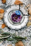 Студия флористики и декора  'Botanica Decor' - фото 3