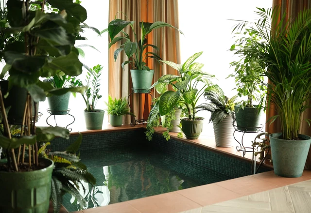 Усадьба Шелепаново Проживание для молодоженов и гостей - фото 10