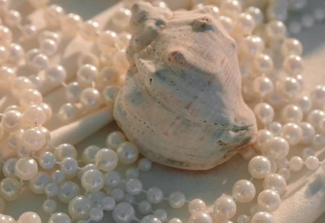 Фотограф Дарья Сурда | Полина и Вадим - фото 123