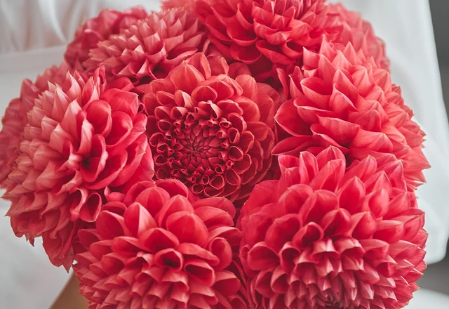 Свадебный фотограф  Денис Горожанинов  | Александра и Юрий  - фото 114