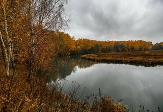 Шатер Ивакино-Покровское Территория - фото 1