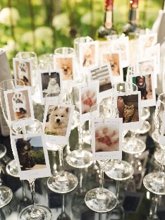 Студия декора Мёд, цветы и кольца - фото 14