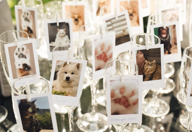 Студия декора Мёд, цветы и кольца - слайд 13