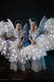 Световое и огненное  шоу 'Extravaganza' - фото 8