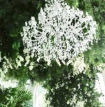 Студия SoWedd - фото 20