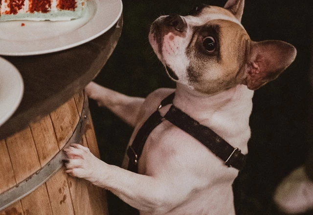 Свадебная площадка «Ранчо» Мероприятия у нас - фото 9