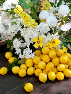 NOEMA DECOR - фото 8