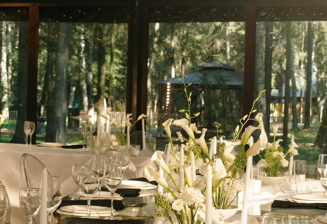 НОЭМА ДЕКОР / NOEMA DECOR | ‘прозрачный лес’