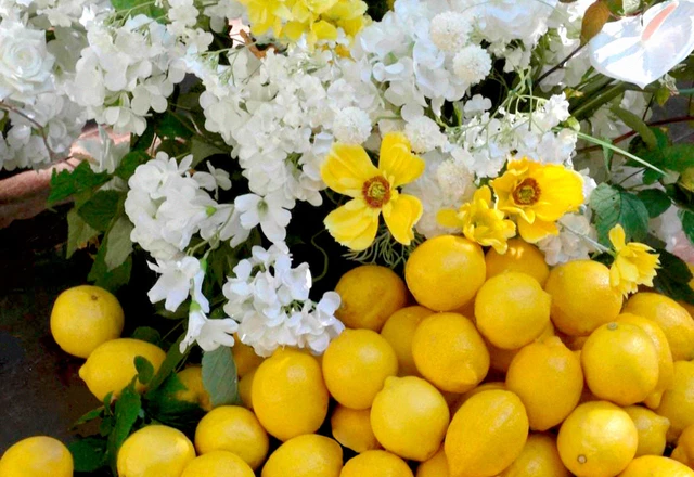 NOEMA DECOR | Андрей и Екатерина