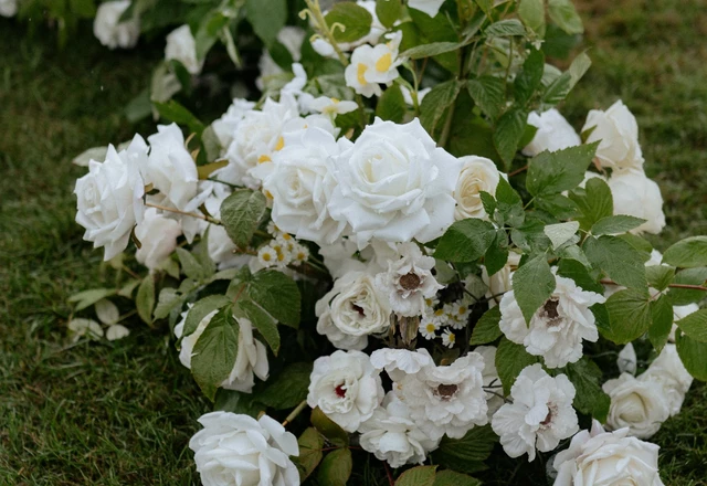 NOEMA DECOR - слайд 20