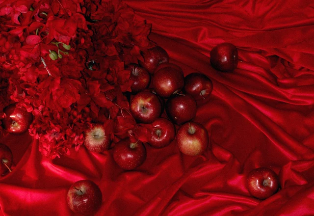 NOEMA DECOR | Степан и Евгения - фото 187