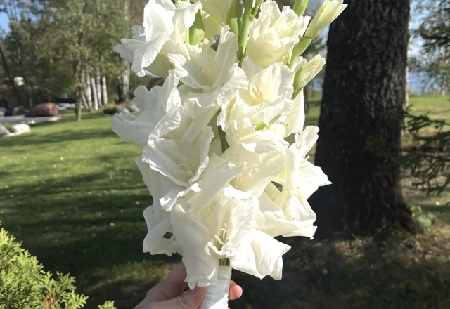 NOEMA DECOR | Петр и Алина - фото 158