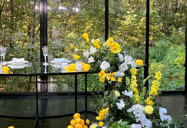 NOEMA DECOR - слайд 16