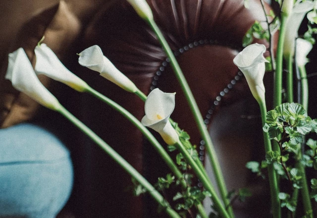 Фотограф Дмитрий Рыжов | Н-О