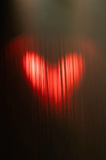 Ведущий Андрей Золотухин - фото 4