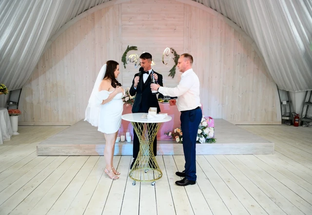 Ведущий Александр Арисов | Ирина и Сергей - фото 241