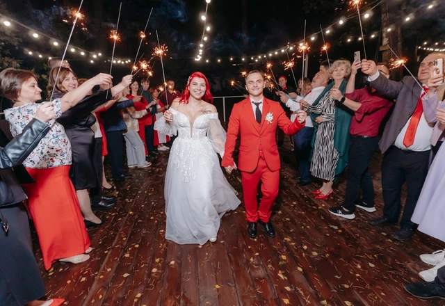 Ведущий Александр Арисов | Софья и Леонид - фото 215