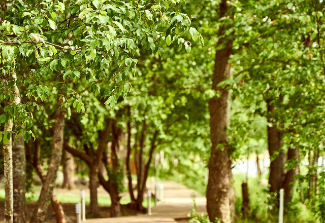 Загородный клуб «Теркинн» Территория - фото 3