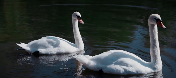 Видеограф Иван Букреев - фото 15