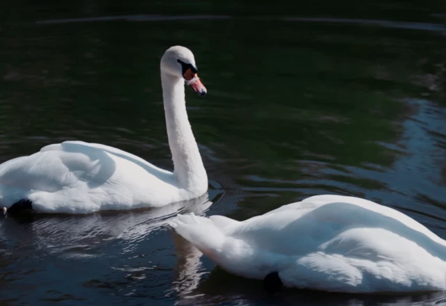 Видеограф Иван Букреев - слайд 14