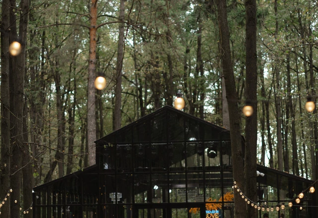 Фотограф Афина Ефимова - эмоции, пленка, репортаж | Due to love Артём и Владислава - фото 390