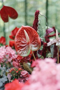 Студия декора «JuicyDecor» - фото 13