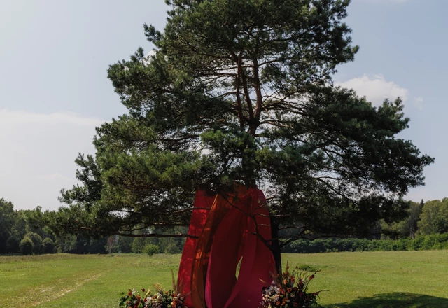 Свадебный оформитель  Элла Острикова - слайд 10