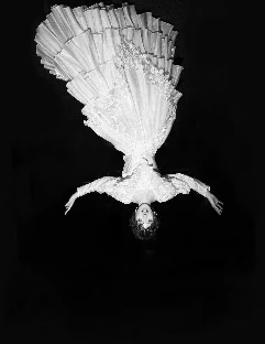 Фотограф Катя Труш  - фото 17