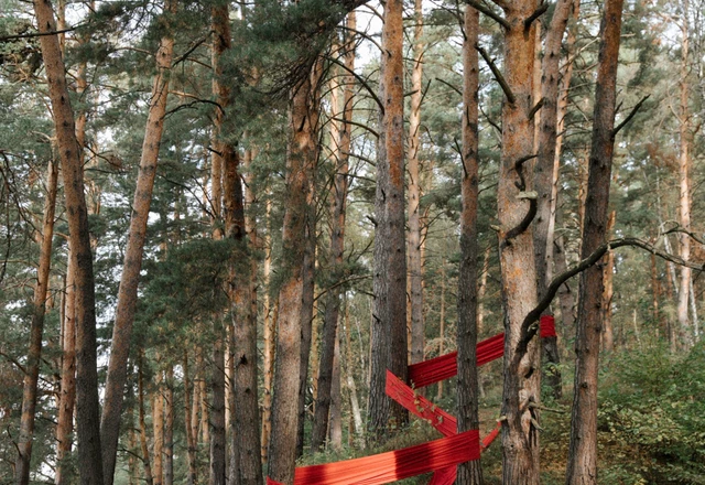 Фотограф Катя Труш  | Софа и Рустам