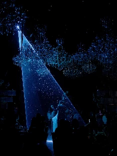 Ведущий Сергей Тарачанов - фото 13