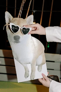 Ведущий Алексей Емельянов - фото 12