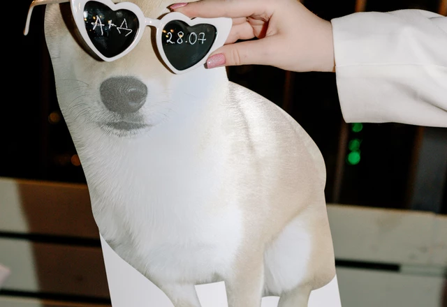 Ведущий Алексей Емельянов - слайд 11