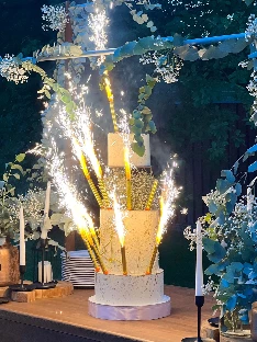 Volshebno cake - фото 17