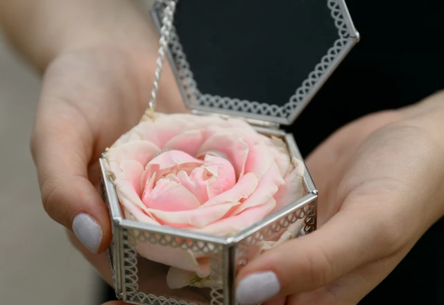 Четыре линии | Свадьба Дольче Вилла. Алёна и Иван - фото 62