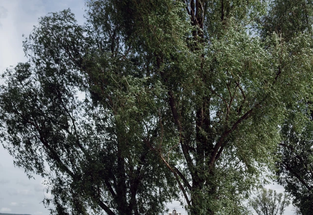 Ведущий Антон Ибрагимов - слайд 19