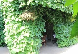 Ресторан Шабада Летняя веранда - фото 8