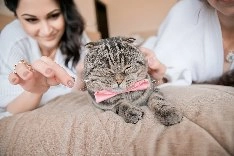 Фотограф Екатерина Сказка - фото 16