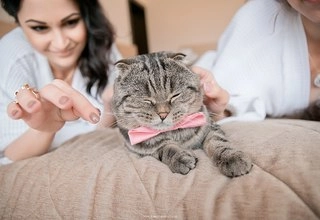 Фотограф Екатерина Сказка - слайд 15