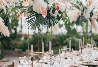 Event Hall Таврический Сад Оранжерея Таврического сада - фото 8