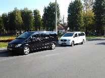ЯМОТОРС - аренда автомобилей на свадьбу - фото 2