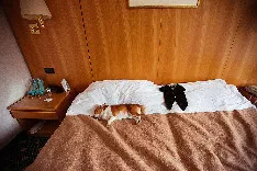 Фотограф Анастасия Белоглазова - фото 14