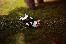 Фотограф Анастасия Белоглазова - фото 7