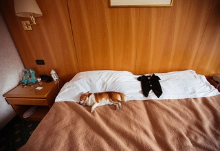 Фотограф Анастасия Белоглазова - слайд 13