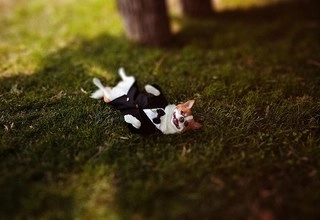 Фотограф Анастасия Белоглазова - слайд 6