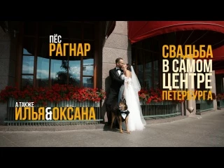 Видеограф Роман Дёмин - видео 1