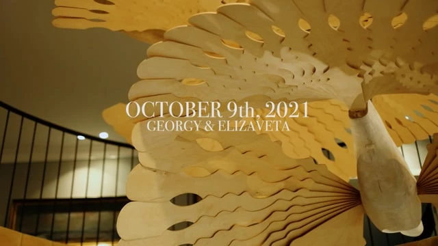 Видеограф Денис Мануйленко - видео 6