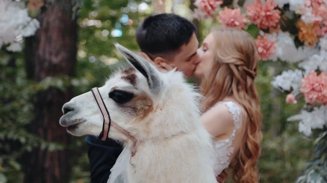 Павел Леонов (LH-cinema) - видео 7