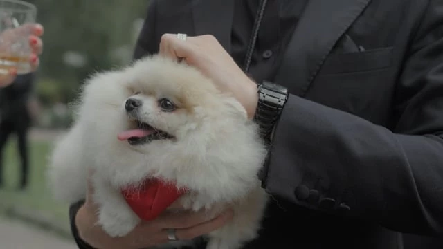 ARAM VOSKANYAN PRODUCTION - видео 5